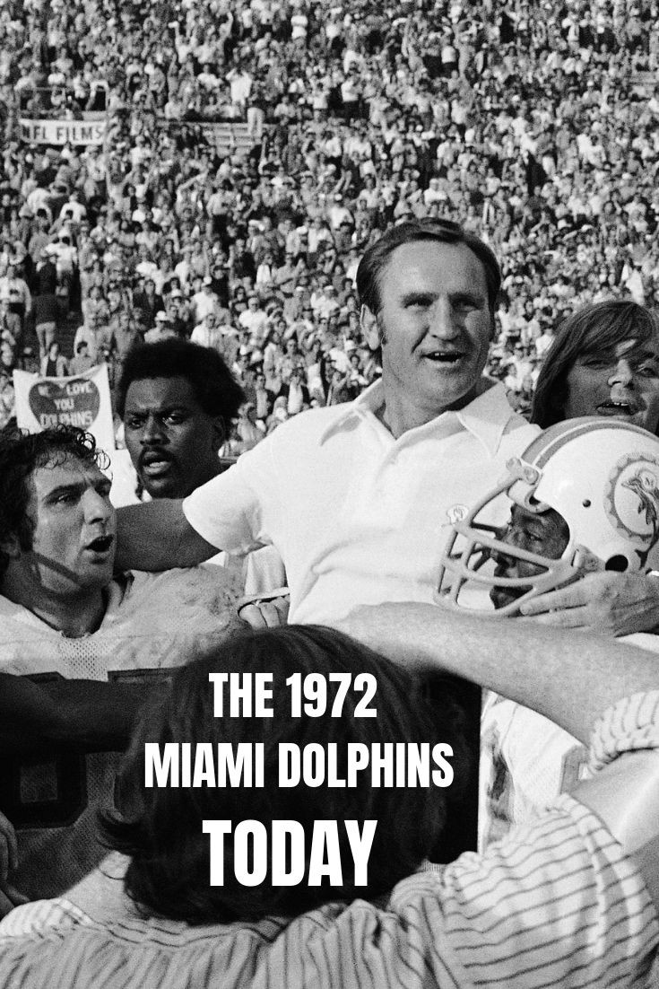 Still Perfect: Miami Dolphins to Honor Undefeated 1972 Team at Sunday's  Game – NBC 6 South Florida